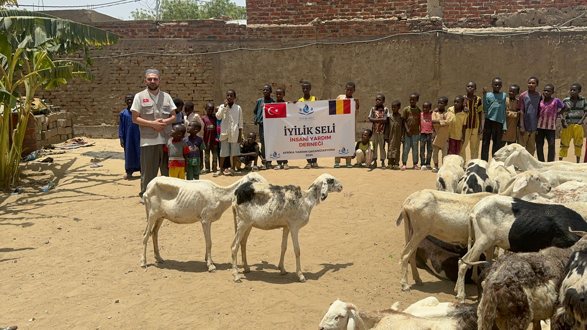 Büyükbaş Vacip Kurban (7 Hisse)